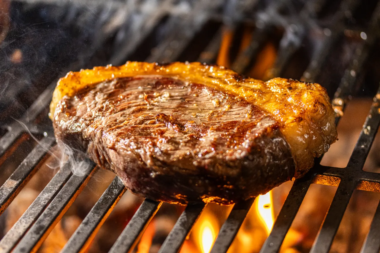 Cópia de VictorMuzzi-4752